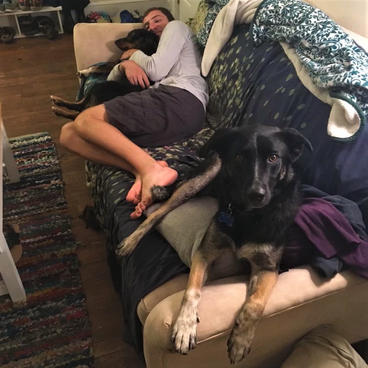 Jamie with the dogs